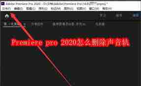 Adobe Premiere pro 2020如何把外观改成亮色