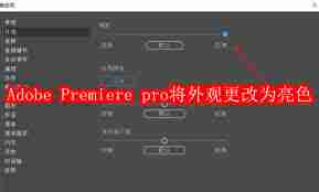 Adobe Premiere pro 2020如何把外观改成亮色