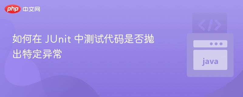 如何在 JUnit 中测试代码是否抛出特定异常