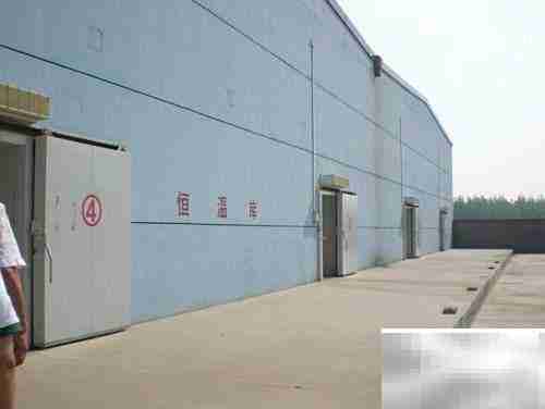 冷库选择指南：5步搞定