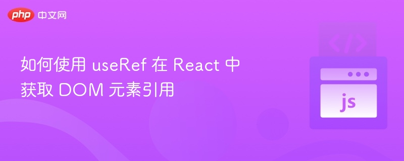 如何使用 useRef 在 React 中获取 DOM 元素引用