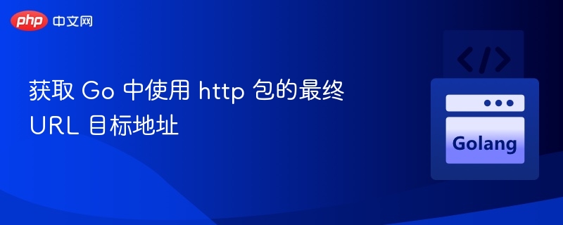 获取 Go 中使用 http 包的最终 URL 目标地址