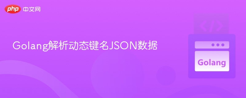 Golang解析动态键名JSON数据
