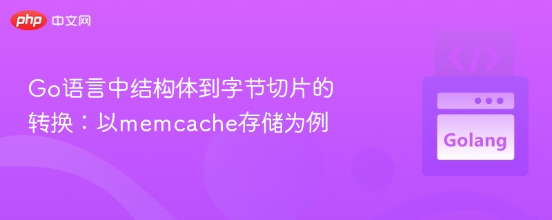 Go语言中结构体到字节切片的转换：以memcache存储为例
