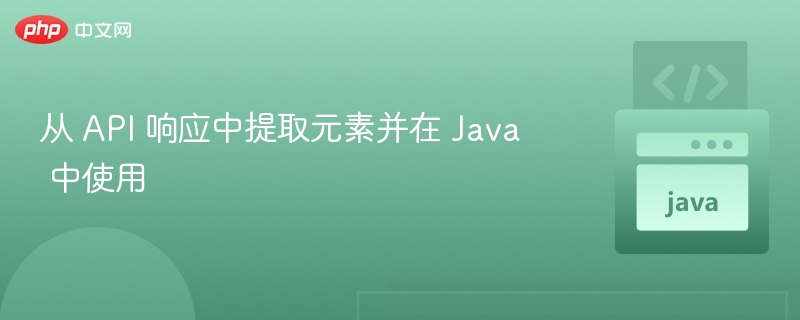 从 API 响应中提取元素并在 Java 中使用