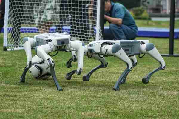 云深处科技现身杭州国际嘉年华 沉浸式呈现未来生活新可能