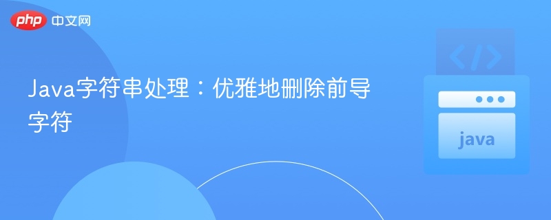 Java字符串处理:优雅地删除前导字符