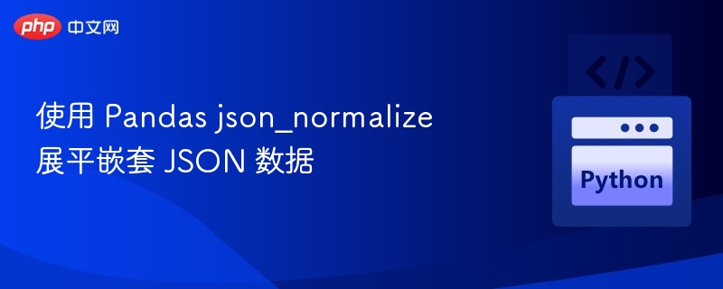 使用 Pandas json_normalize 展平嵌套 JSON 数据
