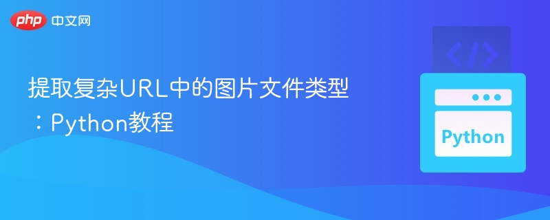 提取复杂URL中的图片文件类型：Python教程