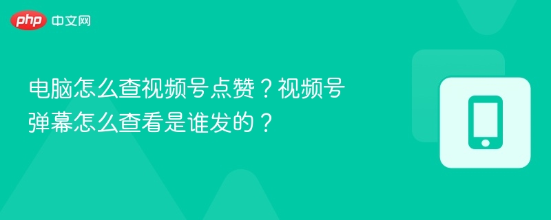 电脑怎么查视频号点赞？视频号弹幕怎么查看是谁发的？