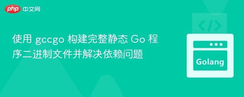 使用 gccgo 构建完整静态 Go 程序二进制文件并解决依赖问题