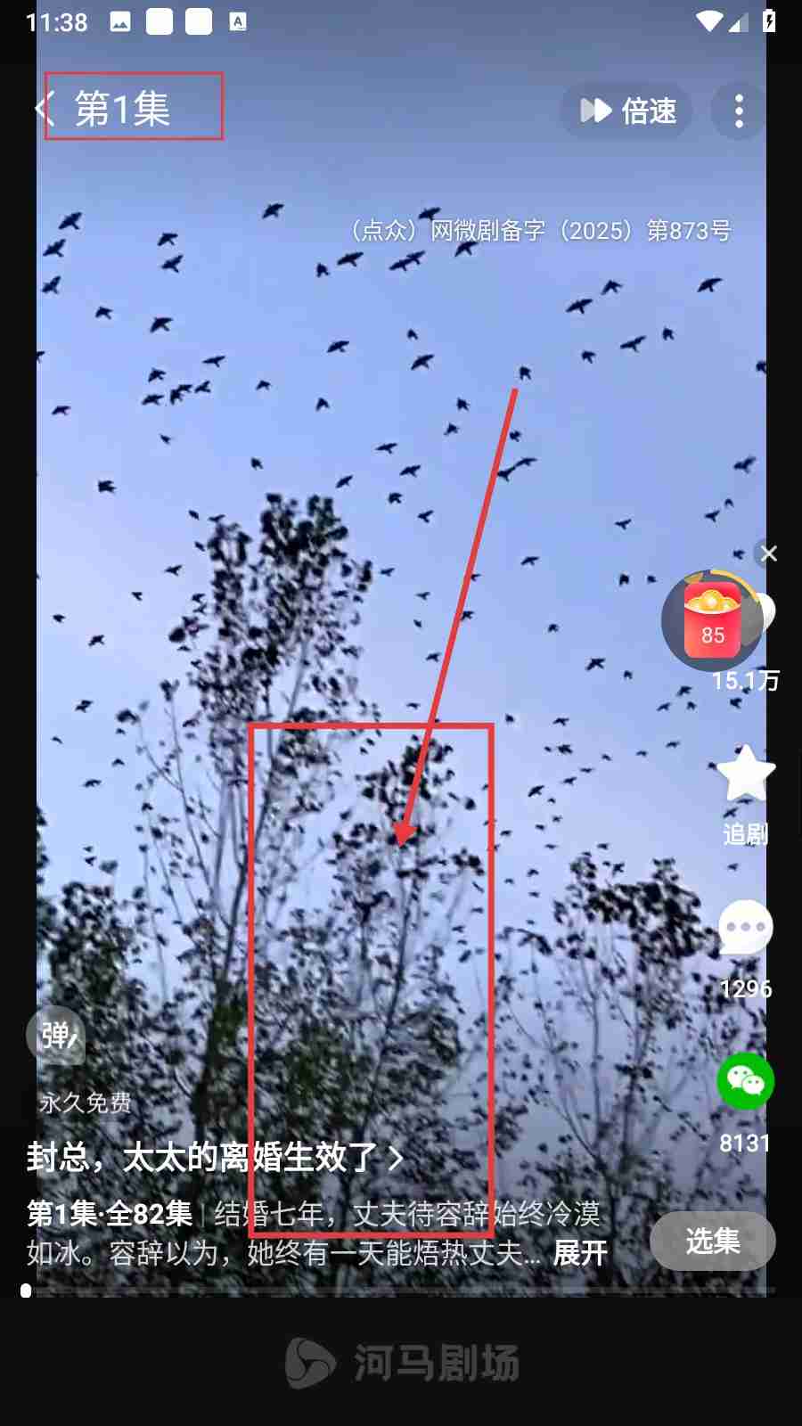 《河马剧场》查看历史视频方法