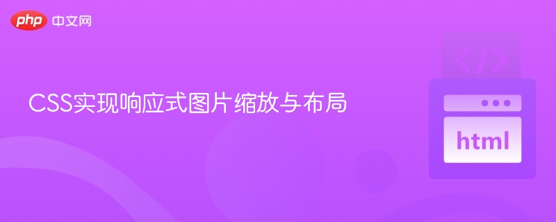 CSS实现响应式图片缩放与布局
