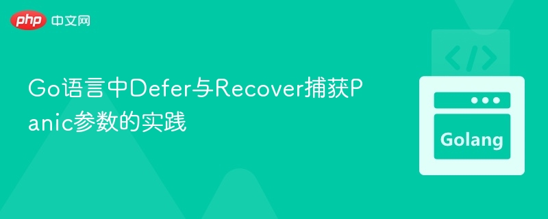 Go语言中Defer与Recover捕获Panic参数的实践
