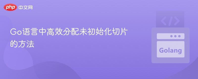 Go语言中高效分配未初始化切片的方法
