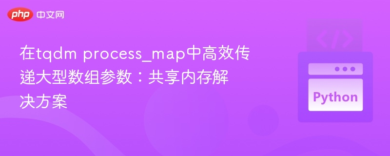 在tqdm process_map中高效传递大型数组参数：共享内存解决方案
