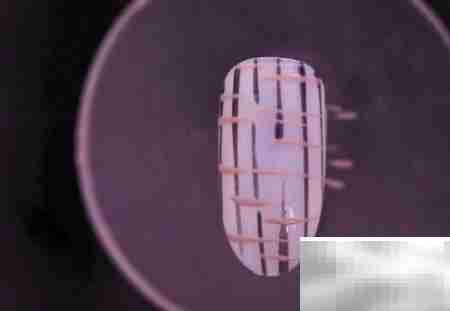 金线毛格子美甲教程