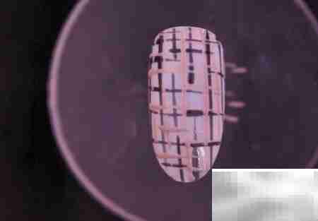 金线毛格子美甲教程