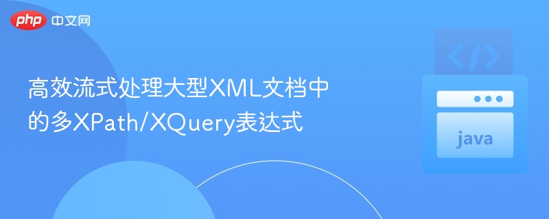高效流式处理大型XML文档中的多XPath/XQuery表达式
