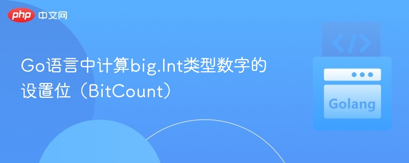 Go语言中计算big.Int类型数字的设置位(BitCount)