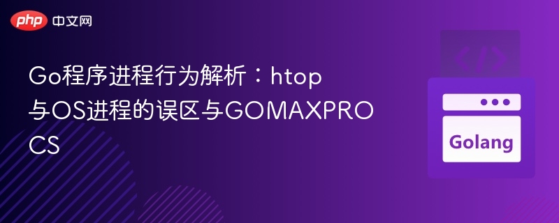 Go程序进程行为解析:htop与OS进程的误区与GOMAXPROCS