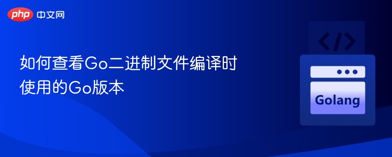 如何查看Go二进制文件编译时使用的Go版本