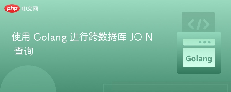 使用 Golang 进行跨数据库 JOIN 查询
