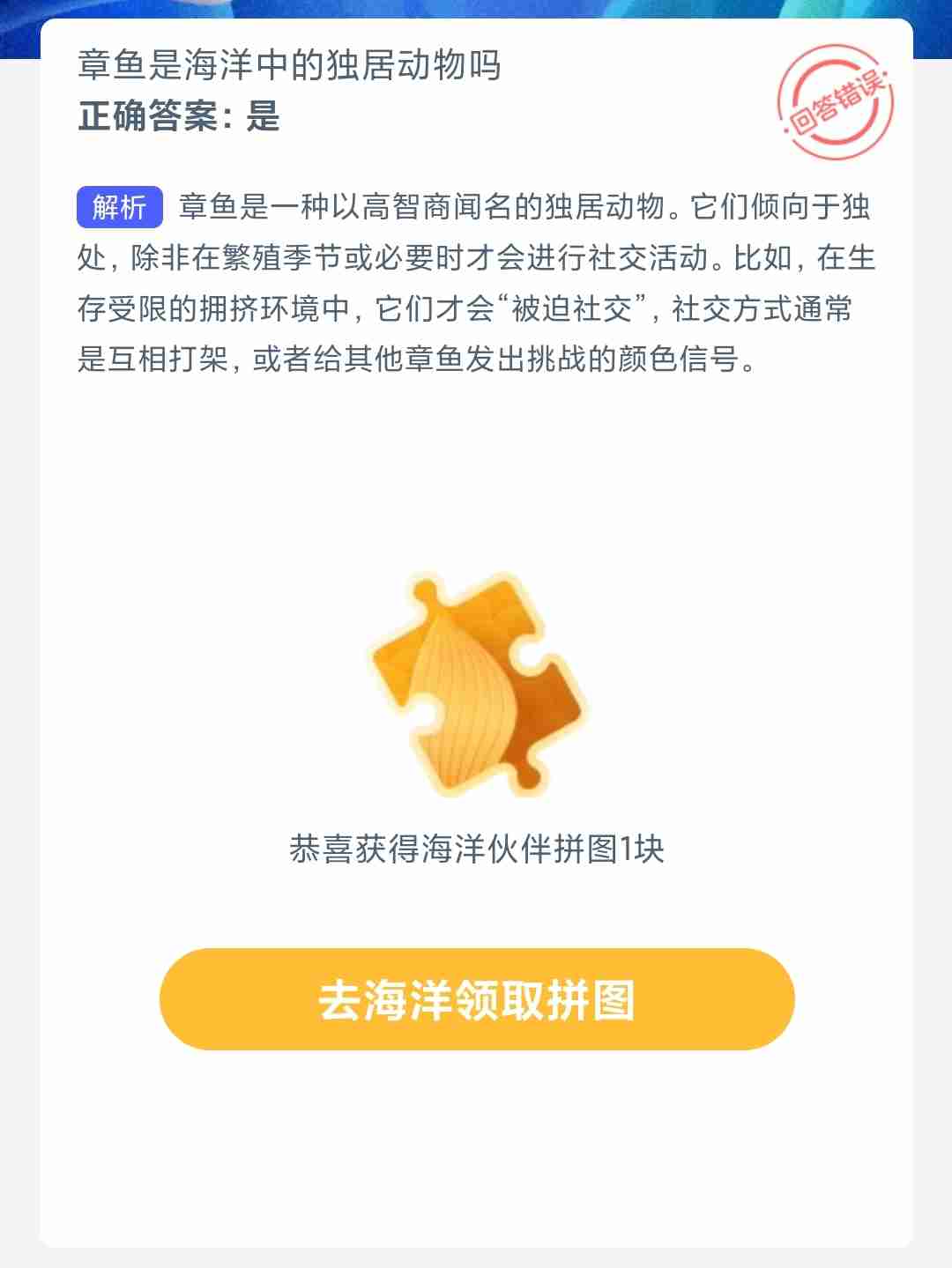 章鱼是海洋中的独居动物吗