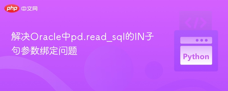 解决Oracle中pd.read_sql的IN子句参数绑定问题
