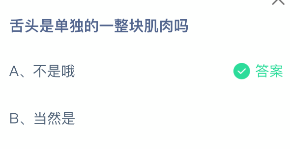 舌头是单独的一整块肌肉吗