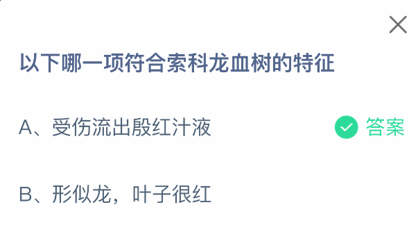 以下哪一项符合索科龙血树的特征
