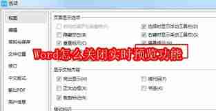 如何在Word中关闭实时预览功能
