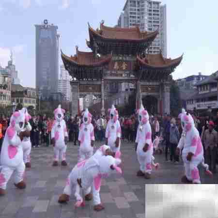 昆明自助游全攻略