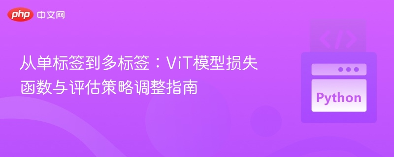 从单标签到多标签：ViT模型损失函数与评估策略调整指南

