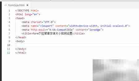 设置form下拉菜单字体大小