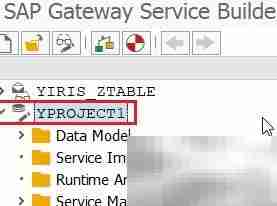 创建OData服务的步骤详解