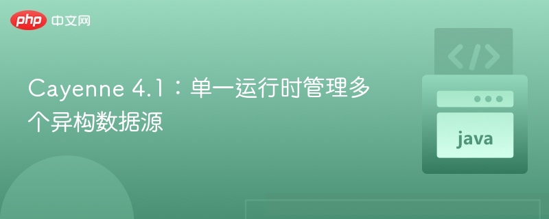 Cayenne 4.1：单一运行时管理多个异构数据源
