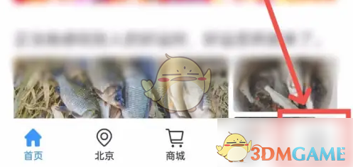 《钓鱼人》导航钓位方法