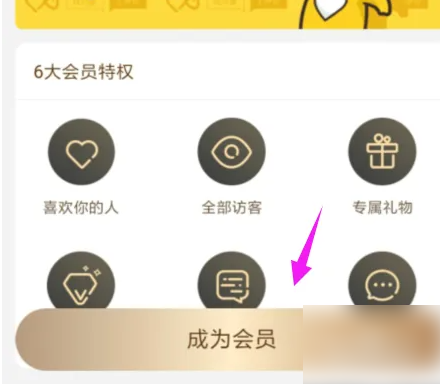《伊对》会员开通方法