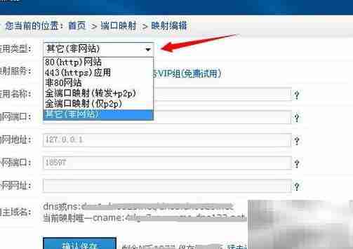 花生壳内网映射新方案