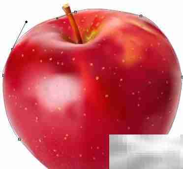 PS钢笔工具路径编辑技巧