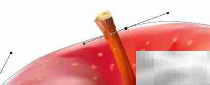 PS钢笔工具路径编辑技巧