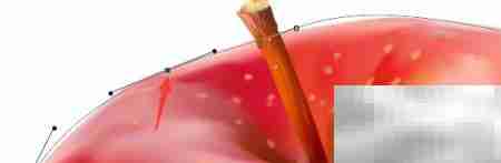 PS钢笔工具路径编辑技巧