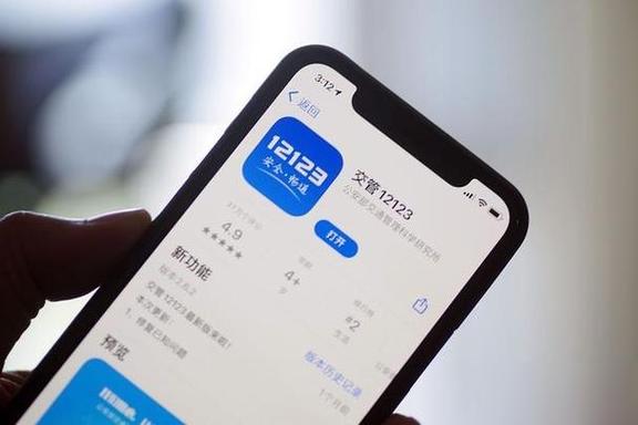 交管12123怎么查询车辆环保标准 机动车环保信息查看方法