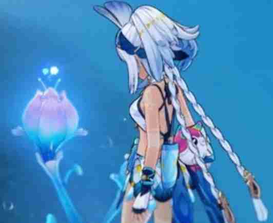 原神V5.8角色抽取建议