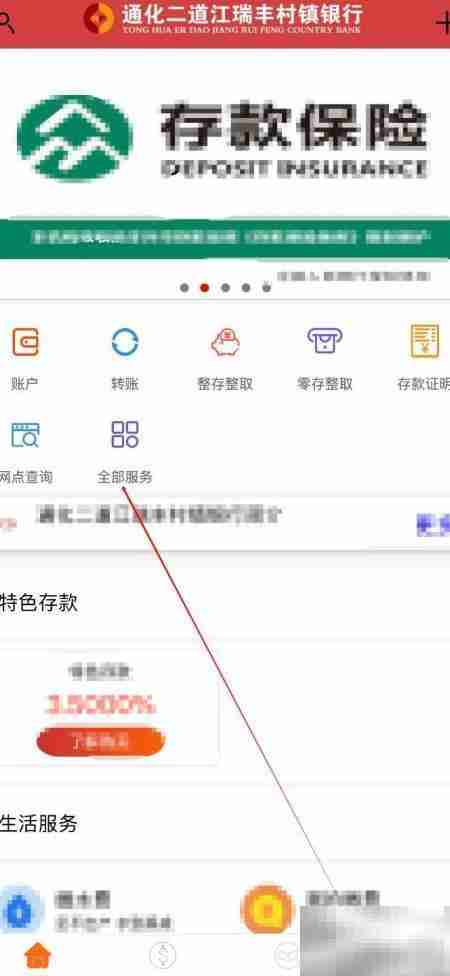 通化瑞丰村镇银行转账记录查询