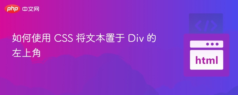 如何使用 CSS 将文本置于 Div 的左上角