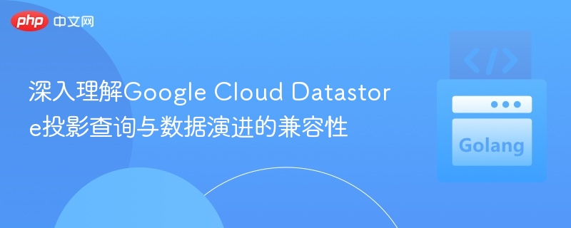 深入理解Google Cloud Datastore投影查询与数据演进的兼容性
