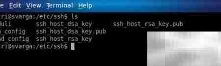 Linux家庭服务器备份指南