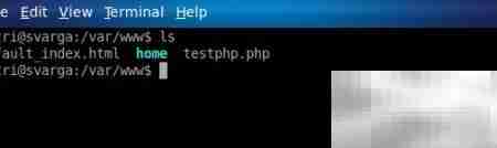 Linux家庭服务器备份指南